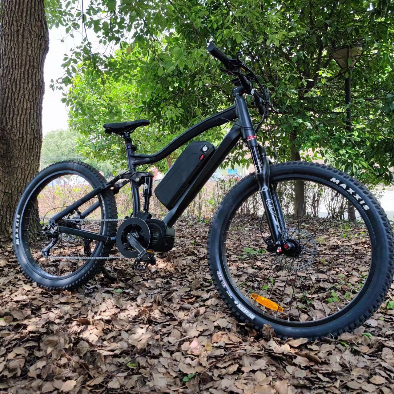 Mid drive 1000W mountain ebike with big power ebike full suspension mountain bike