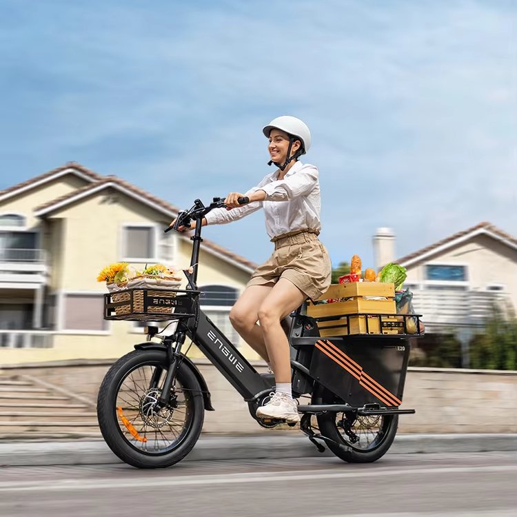 New EU Stock Single Battery Electric Bike electric Bicycle 250W ENGWE LE20 Mid-drive Torque sensor Step-Thru Cargo Ebike