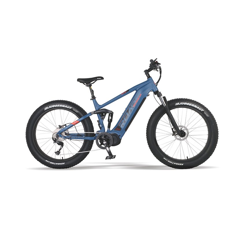 Motorlife Wholesale New Model Fat Tire Electric Bike Electric Bicycle 750W Electric Fat Bike