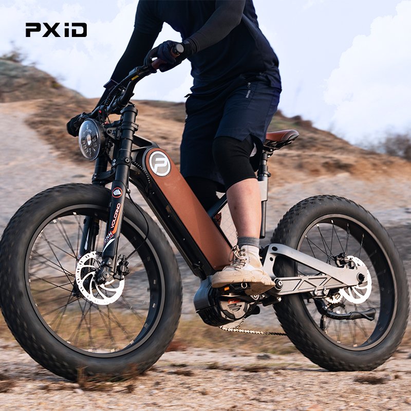 PXID ANTELOPE P5 sportbikes 750W 1000W 1200W 48V electric bike for city travel