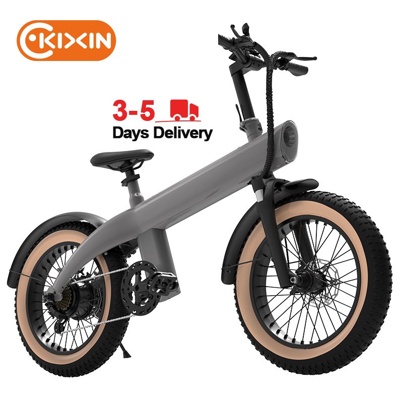 2024 Q3 Plus Fahrrad Elektro Bike Elektrische Fiets Fat Off-road Tire 20inch 750watt Motor Electric City Bike Mountain E Bicycle