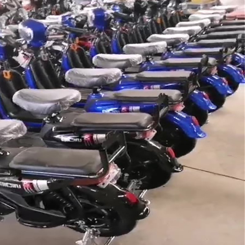 2024 new Multi-Functional 48V 500W Electric City Bike with Enhanced Riding Eco-friendly Tech Scooter Electric City Bike Cargo