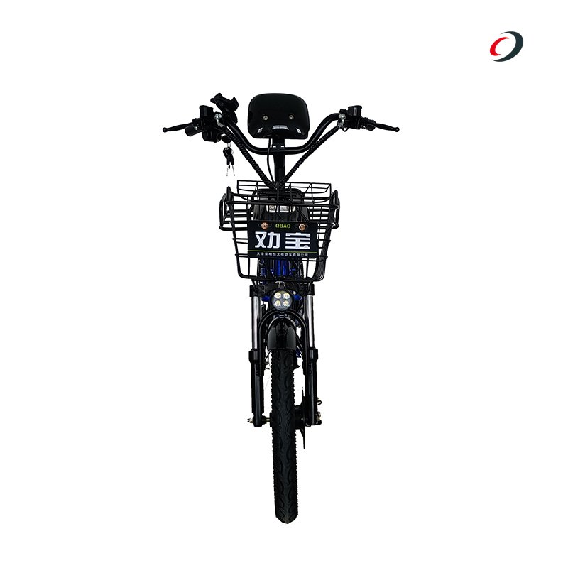 Hot Selling 250 W lithium battery Electric Delivery Bike 20 inch Al alloy Electric Cargo Food Delivery City E Bikes