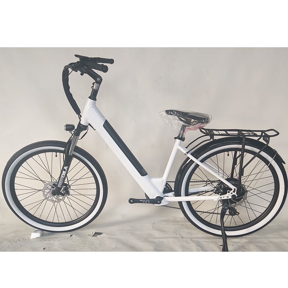 Max Loading 1500kgs Max Speed 25km/h 26inch Tire 2 Wheel Pedal Assist Delivery E Bicycle Electric Bike For Adult