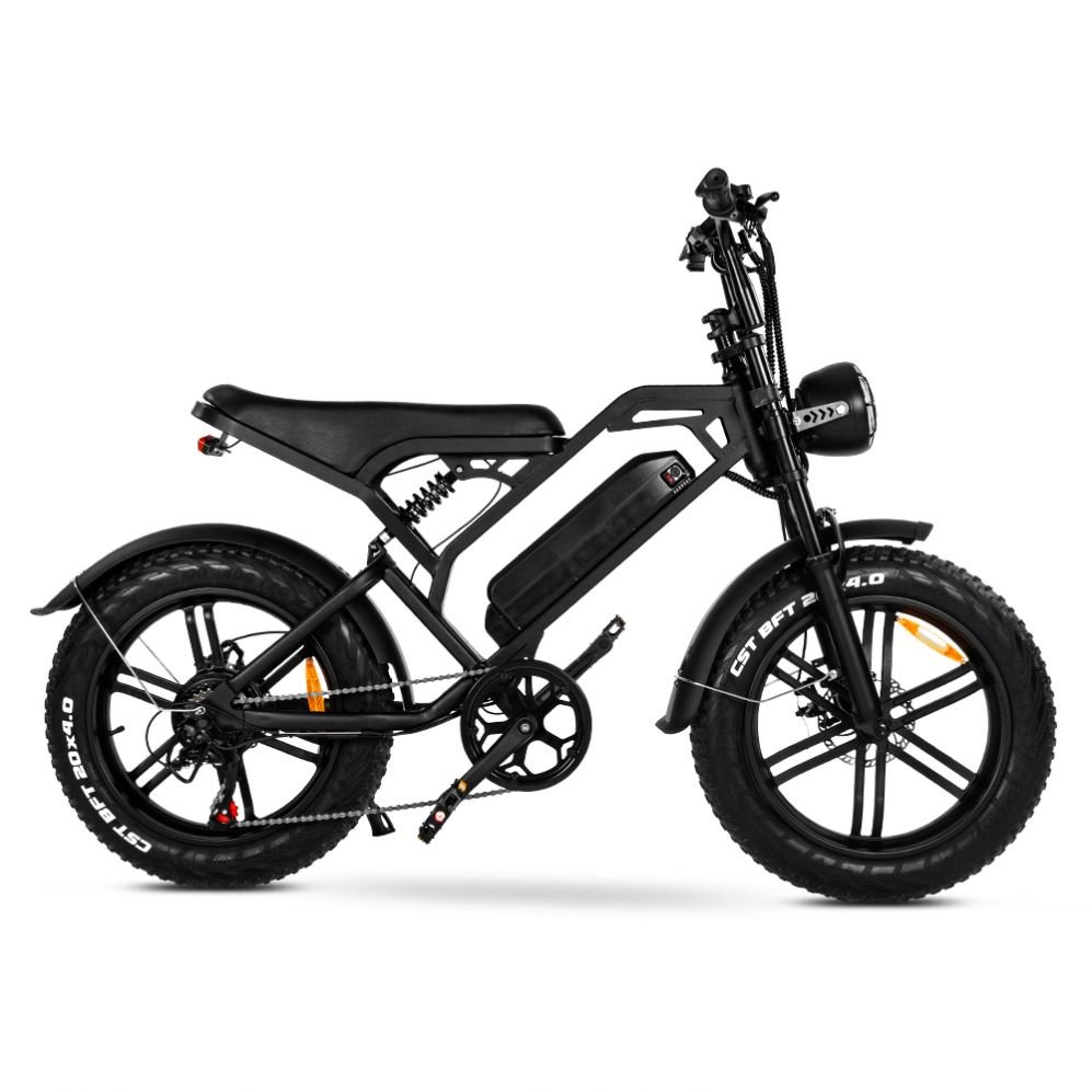Eu Warehouse Electric Hybrid Bike Cheap Electric Charging Bikes Fat Tire Mountain Bicycle Pedal Assist Electric Bike Steel 48V