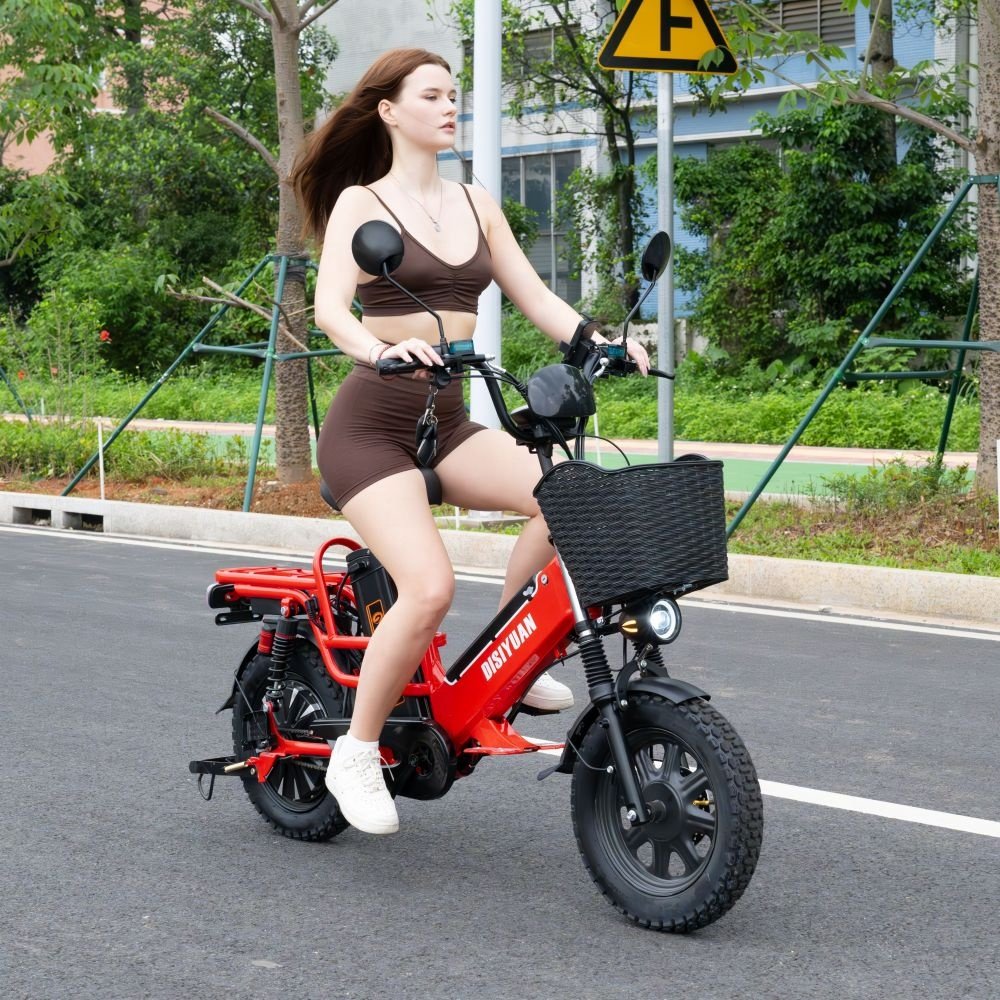 Wholesale Electric E Bike Motor High Power Brushless 60V Adult Electric City Bike Electric City Motorbike