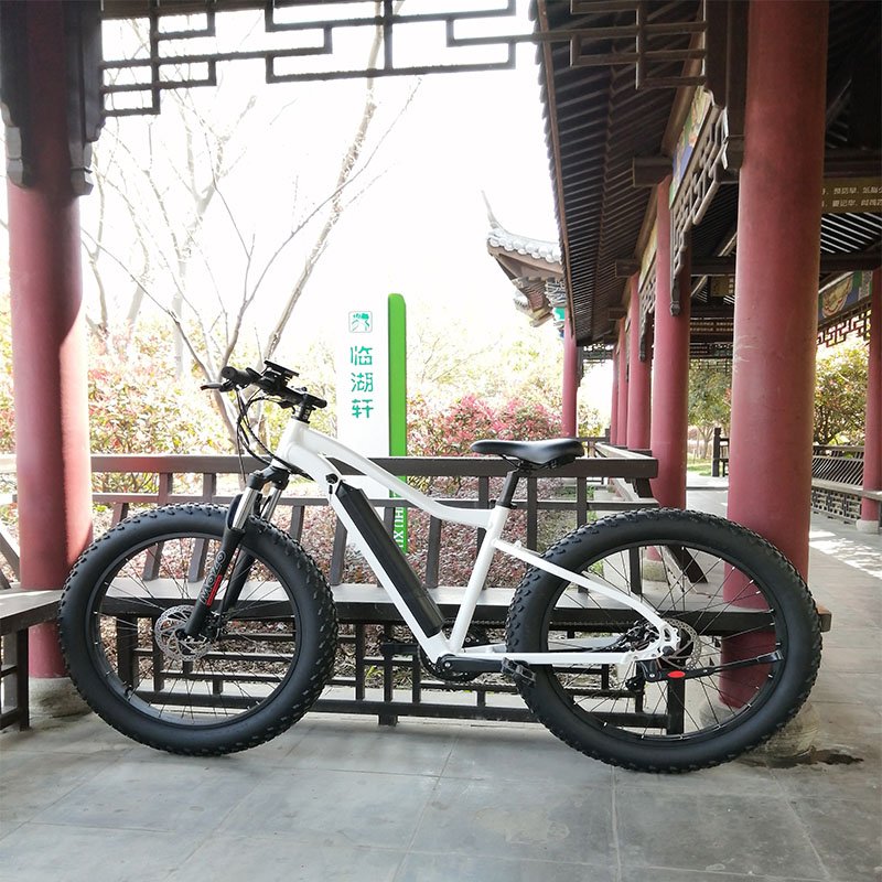 BOXU EBIKE F/R disc brake 350w 500w 750w 1000w motor 6 speed Shimano fatbike bicycle electric Electric City Bike