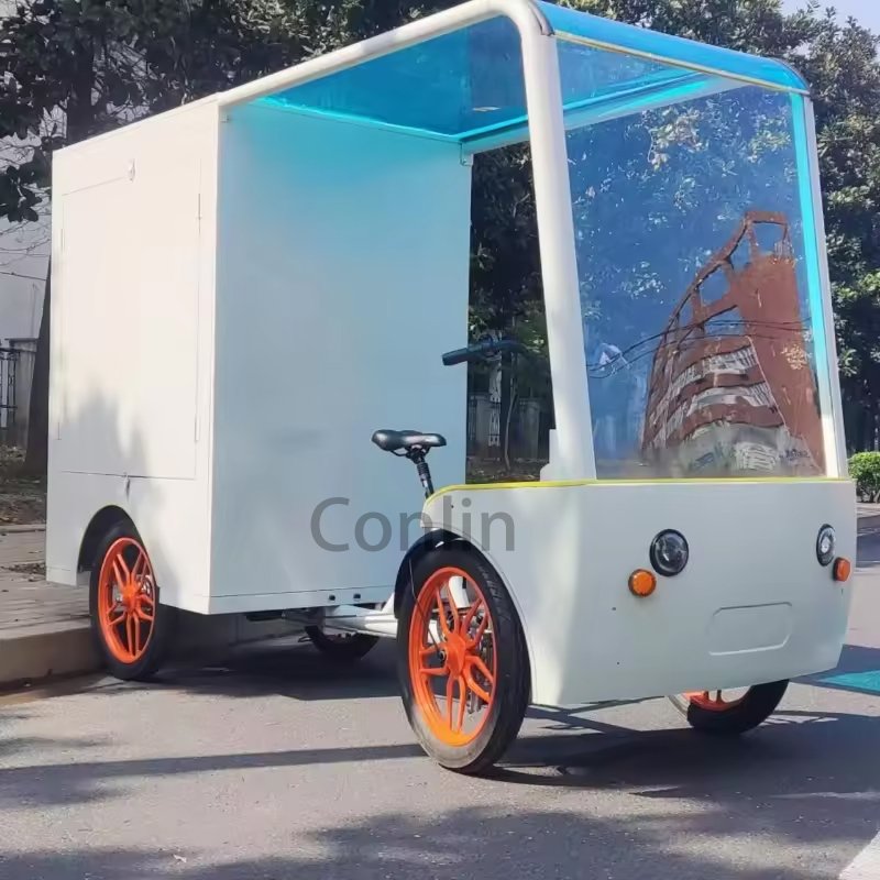 Business Electric 250w Pedal Battery Cargo Bike Four Wheels Back Electric Cargo Bike Electric City Delivery Bike For Sale