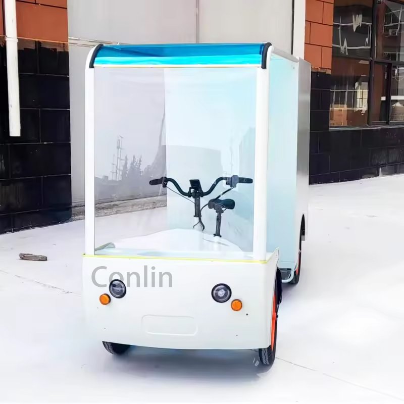 Business Electric 250w Pedal Battery Cargo Bike Four Wheels Back Electric Cargo Bike Electric City Delivery Bike For Sale