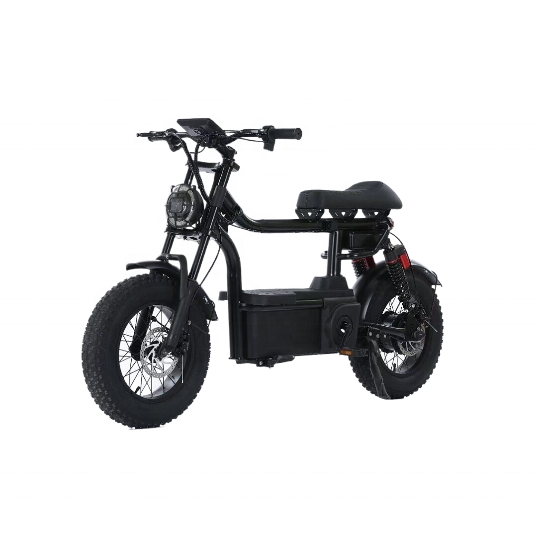 16 Inch Electric Fat Tire Mountain Dirt Motor Bike Motorcycle 2024 hybrid Cheap e bike MTB e-bike Retro e bikes bicycle