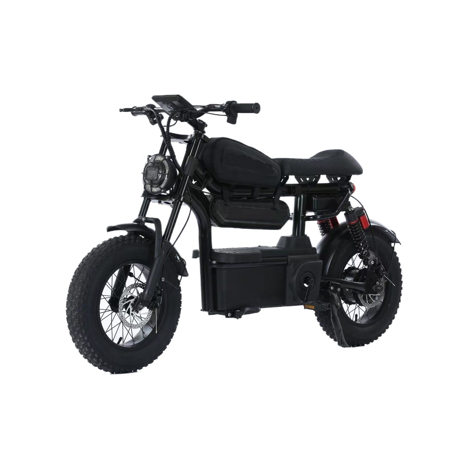 16 Inch Electric Fat Tire Mountain Dirt Motor Bike Motorcycle 2024 hybrid Cheap e bike MTB e-bike Retro e bikes bicycle