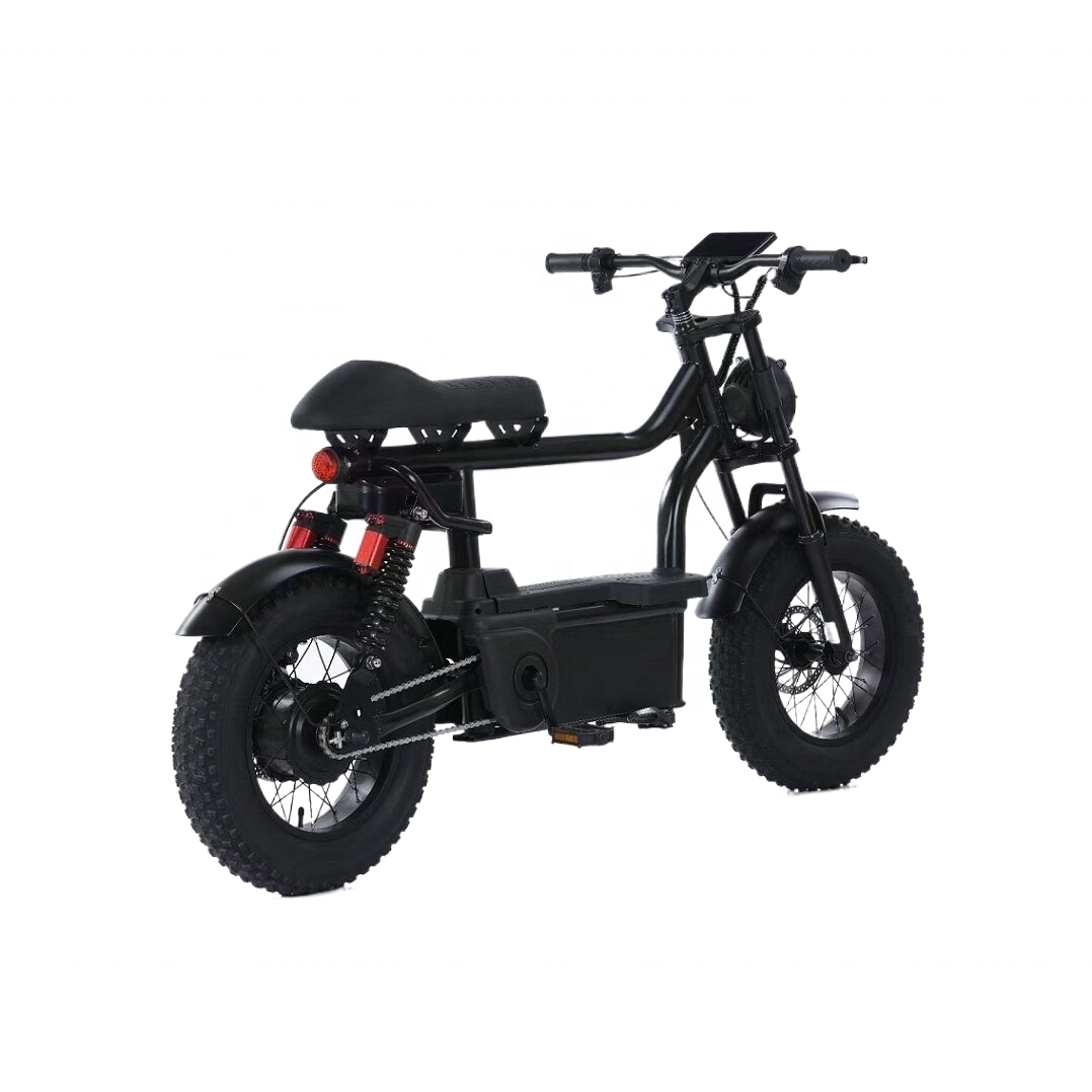 16 Inch Electric Fat Tire Mountain Dirt Motor Bike Motorcycle 2024 hybrid Cheap e bike MTB e-bike Retro e bikes bicycle