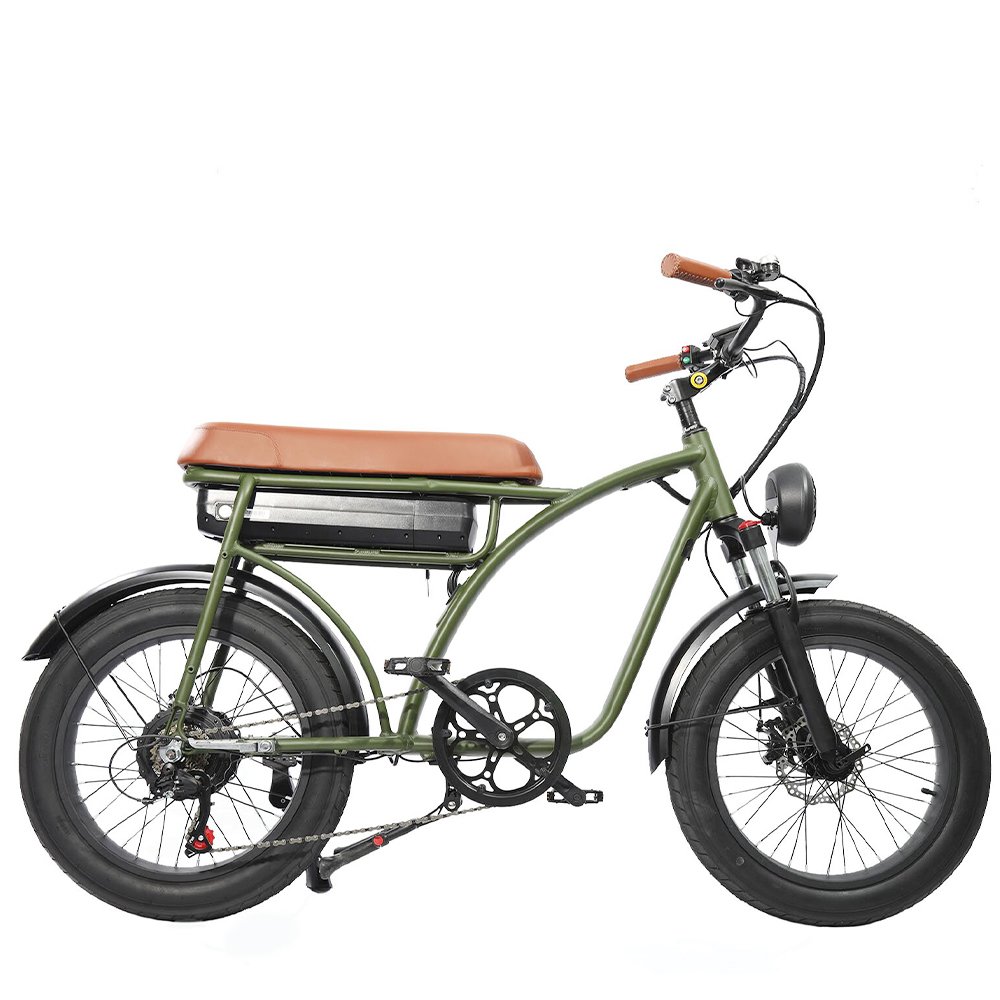 Freego Customized Fashion High Quality 20Inch Fat Tire E-bike 900W Electric City Bike For Unisex