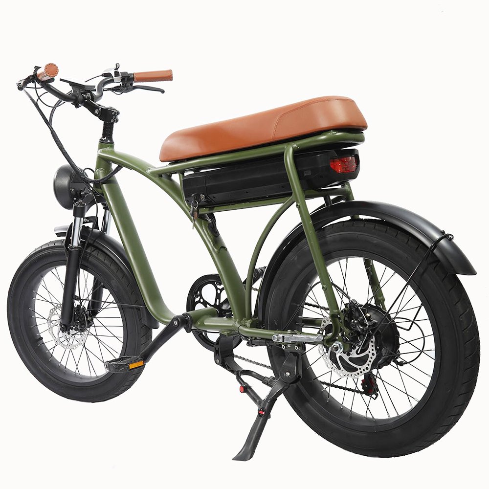 Freego Customized Fashion High Quality 20Inch Fat Tire E-bike 900W Electric City Bike For Unisex