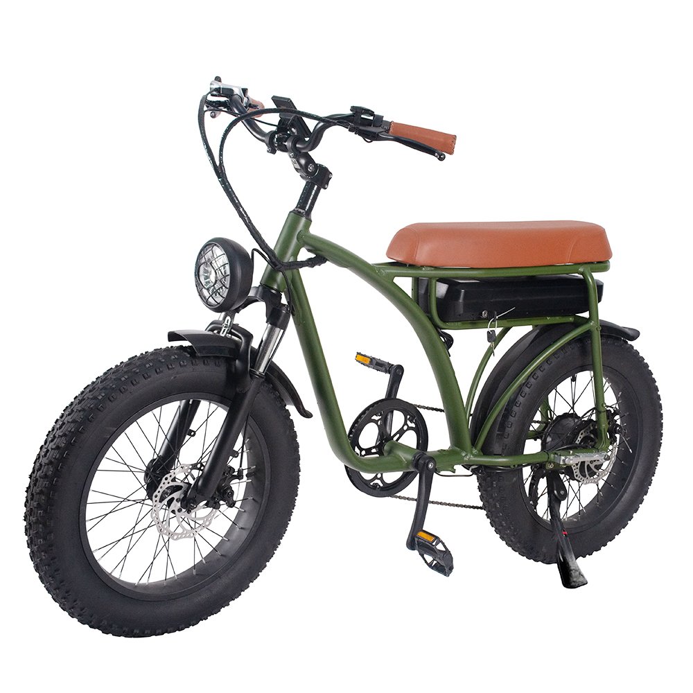 Freego Customized Fashion High Quality 20Inch Fat Tire E-bike 900W Electric City Bike For Unisex