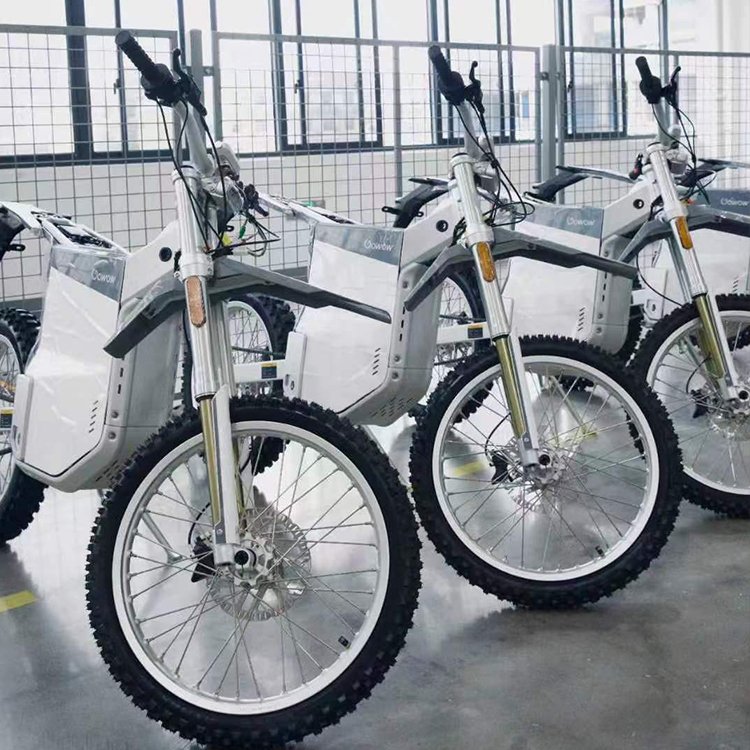 2024 Gowow Alpha Electric Bike 8000W Electric Mountain Bike 420Nm Torque Mid Drive 75km Range 80km/h Top Speed
