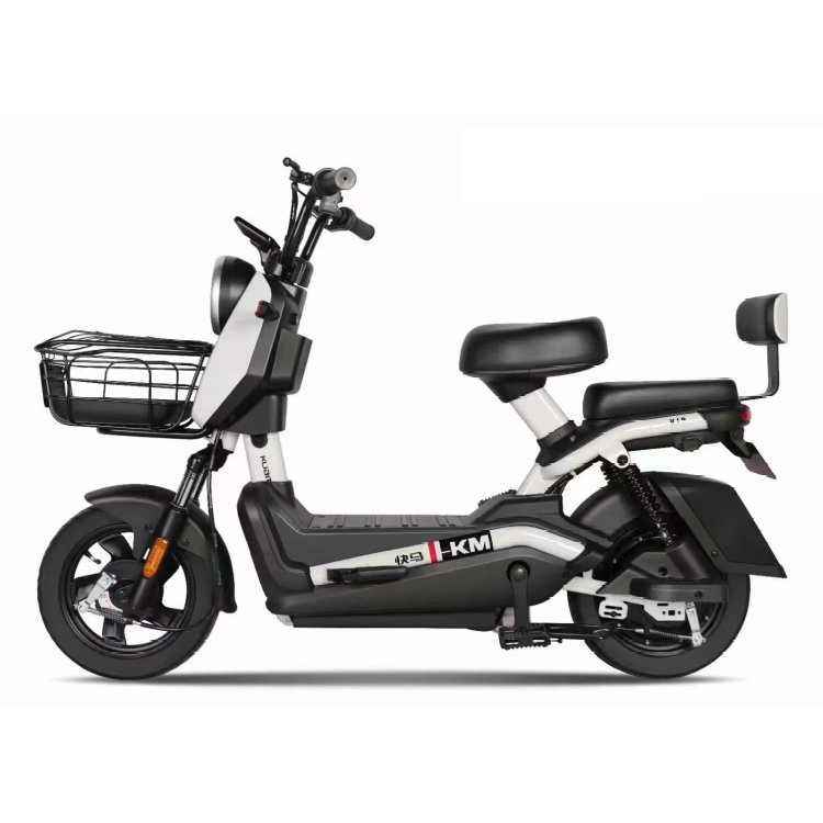 The Strong battery life Women easy and convenient electric bicycle various types Recreational cycling Adult electric City bike