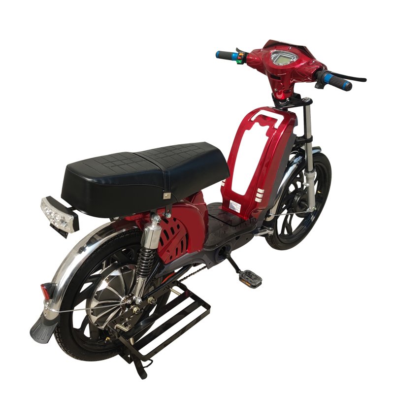Electric Mountain Bike with 800W Motor and Comfortable Riding Experience