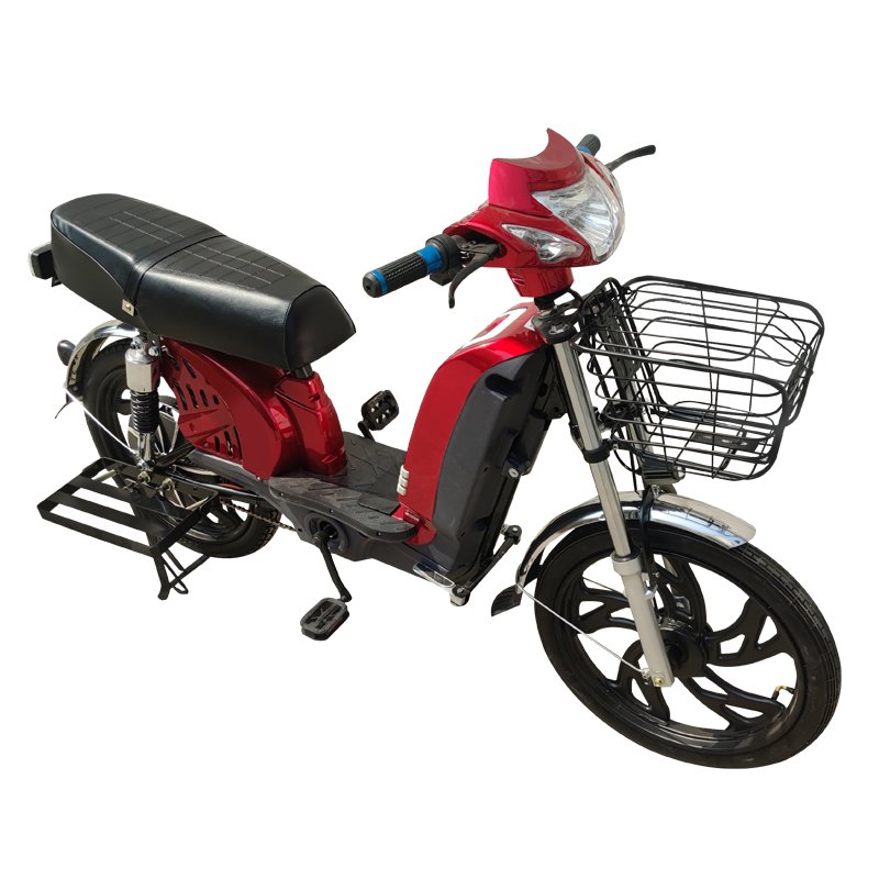 Electric Mountain Bike with 800W Motor and Comfortable Riding Experience