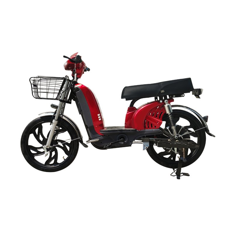 Electric Mountain Bike with 800W Motor and Comfortable Riding Experience