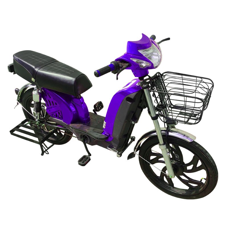 Electric Mountain Bike with 800W Motor and Comfortable Riding Experience