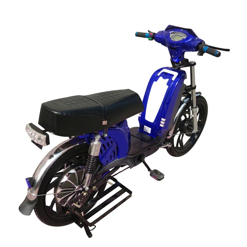 Electric Mountain Bike with 800W Motor and Comfortable Riding Experience