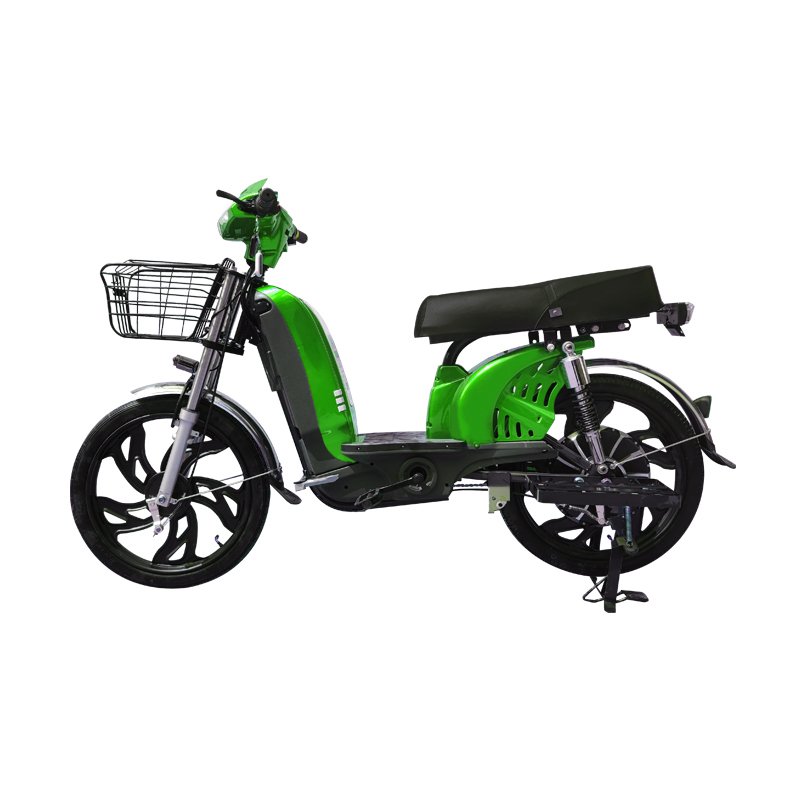 Electric Mountain Bike with 800W Motor and Comfortable Riding Experience