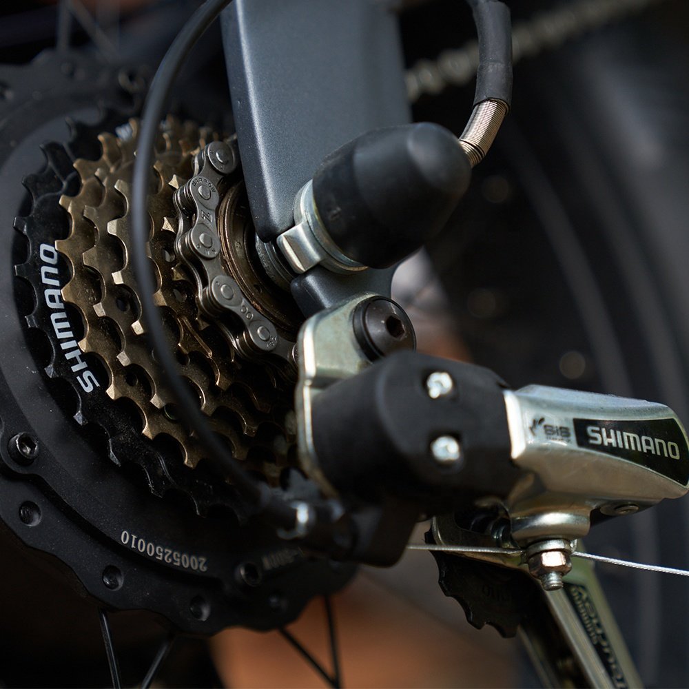 Coswheel T20 Fat Bike Professional Custom Sports Alloy Mountain Bike Big Tyre EV Mountain Fat Bikes Bicicleta For Men Cycling
