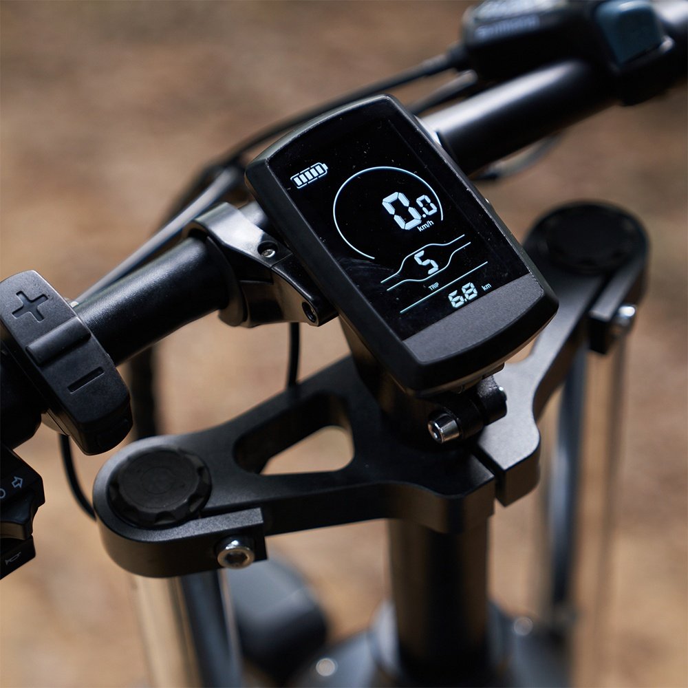 Coswheel T20 Fat Bike Professional Custom Sports Alloy Mountain Bike Big Tyre EV Mountain Fat Bikes Bicicleta For Men Cycling