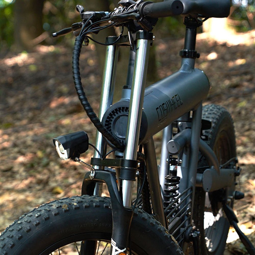 Coswheel T20 Fat Bike Professional Custom Sports Alloy Mountain Bike Big Tyre EV Mountain Fat Bikes Bicicleta For Men Cycling