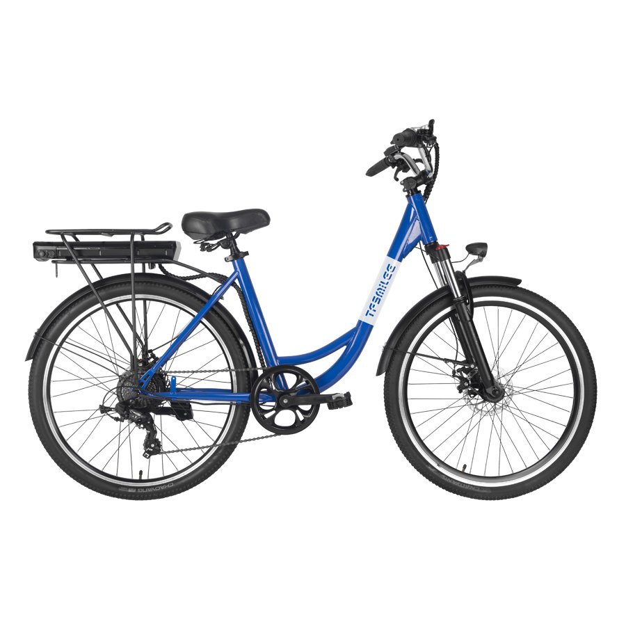 Multi purpose electric bicycle with 250W motor and 10.4AH lithium battery for adult city outdoor riding, electric cargo bicycle