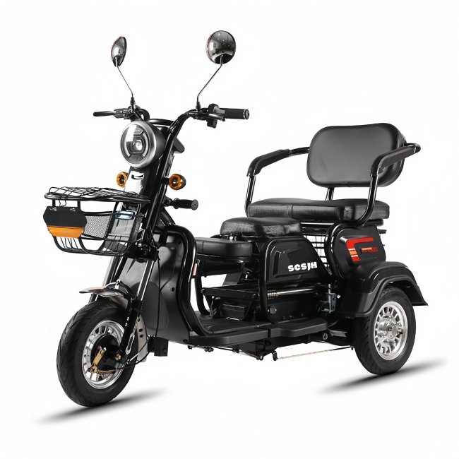 Electric Tricycle Passenger Dirt Bike EV 3-wheel Motorcycle Moto Motocross for Adults Motorized Driving High Edition 600W 48V