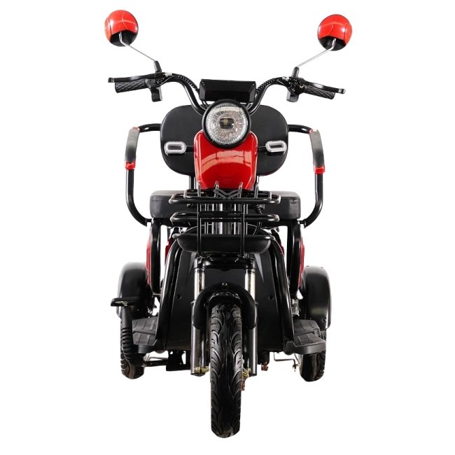 Electric Tricycle Passenger Dirt Bike EV 3-wheel Motorcycle Moto Motocross for Adults Motorized Driving High Edition 600W 48V