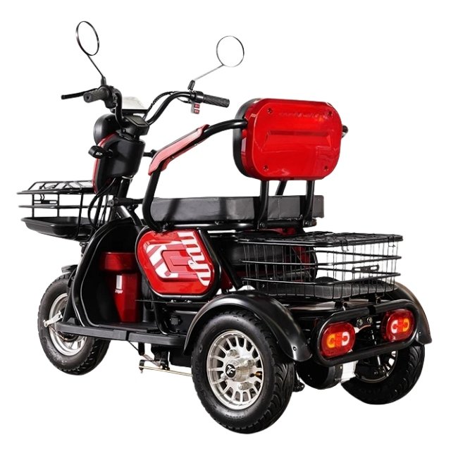 Electric Tricycle Passenger Dirt Bike EV 3-wheel Motorcycle Moto Motocross for Adults Motorized Driving High Edition 600W 48V