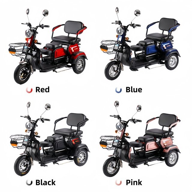 Electric Tricycle Passenger Dirt Bike EV 3-wheel Motorcycle Moto Motocross for Adults Motorized Driving High Edition 600W 48V