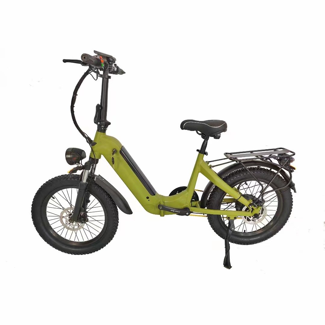 High Grade 20 Inch Fold Electr Fat Tire Bike Electrical Bicycle Bicicletas Plegables Foldable Electric City Mountain Street Bike