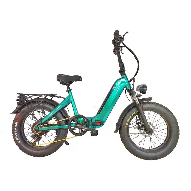 High Grade 20 Inch Fold Electr Fat Tire Bike Electrical Bicycle Bicicletas Plegables Foldable Electric City Mountain Street Bike