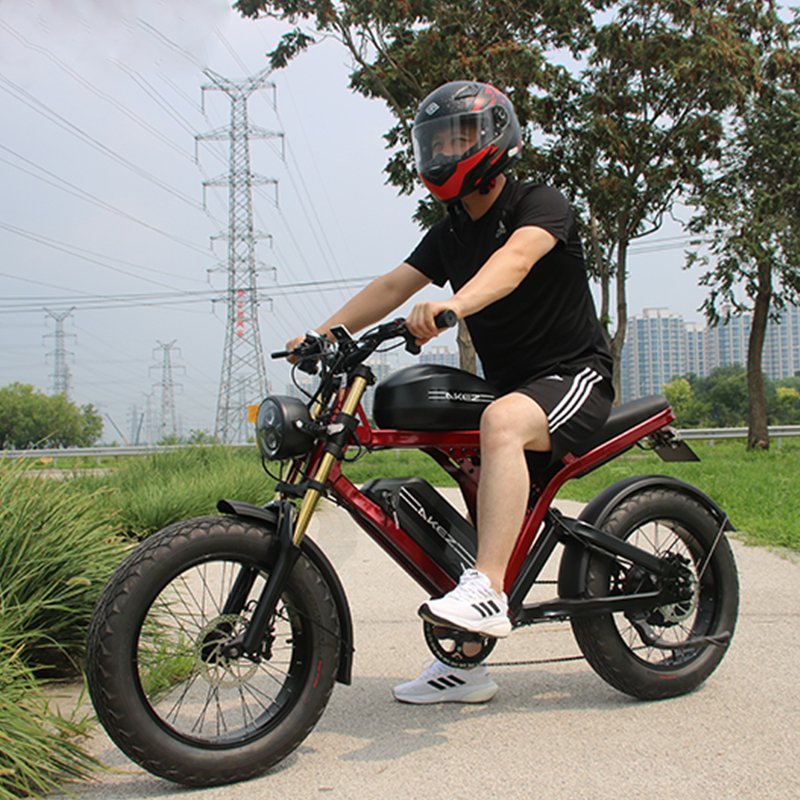 20 inch fat tire ebike Aluminum alloy frame 52V1500W 55Ah 55km/h electric bicycle lithium battery motorcycle for adults