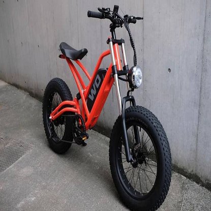 Fast Selling Electric Mountain Bike 0015 Brand New Cheap Price 500W 750W Electric Bike Battery 1000W Ready for Sale