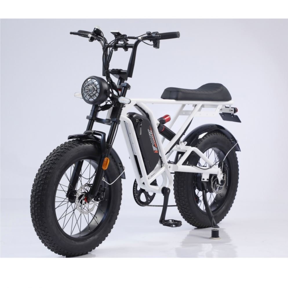 Stock 750W Electric Fat Tire Mountain Bike LED Lights 48V Digital Smart E-Bike Lithium Battery 13ah Tube Position Disc Brake