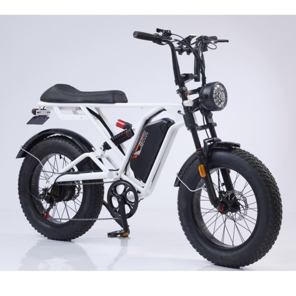 Stock 750W Electric Fat Tire Mountain Bike LED Lights 48V Digital Smart E-Bike Lithium Battery 13ah Tube Position Disc Brake