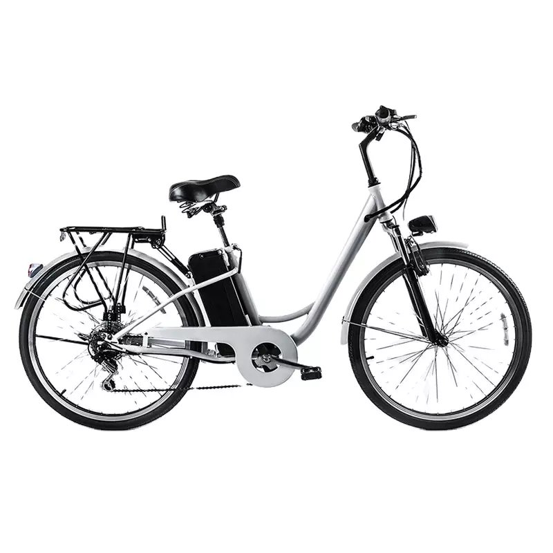 2024 Economic Height-adjustable City Bike Wide Range Electric Bike Road Type With LED Display