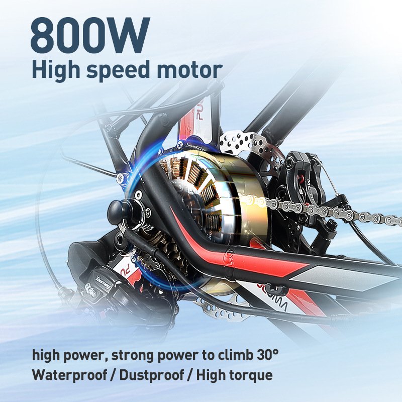 New Model Mountain Bike 48 V Unisex Aluminum Alloy Frame 500w Vibration Damping System Bicycle Electric Bike