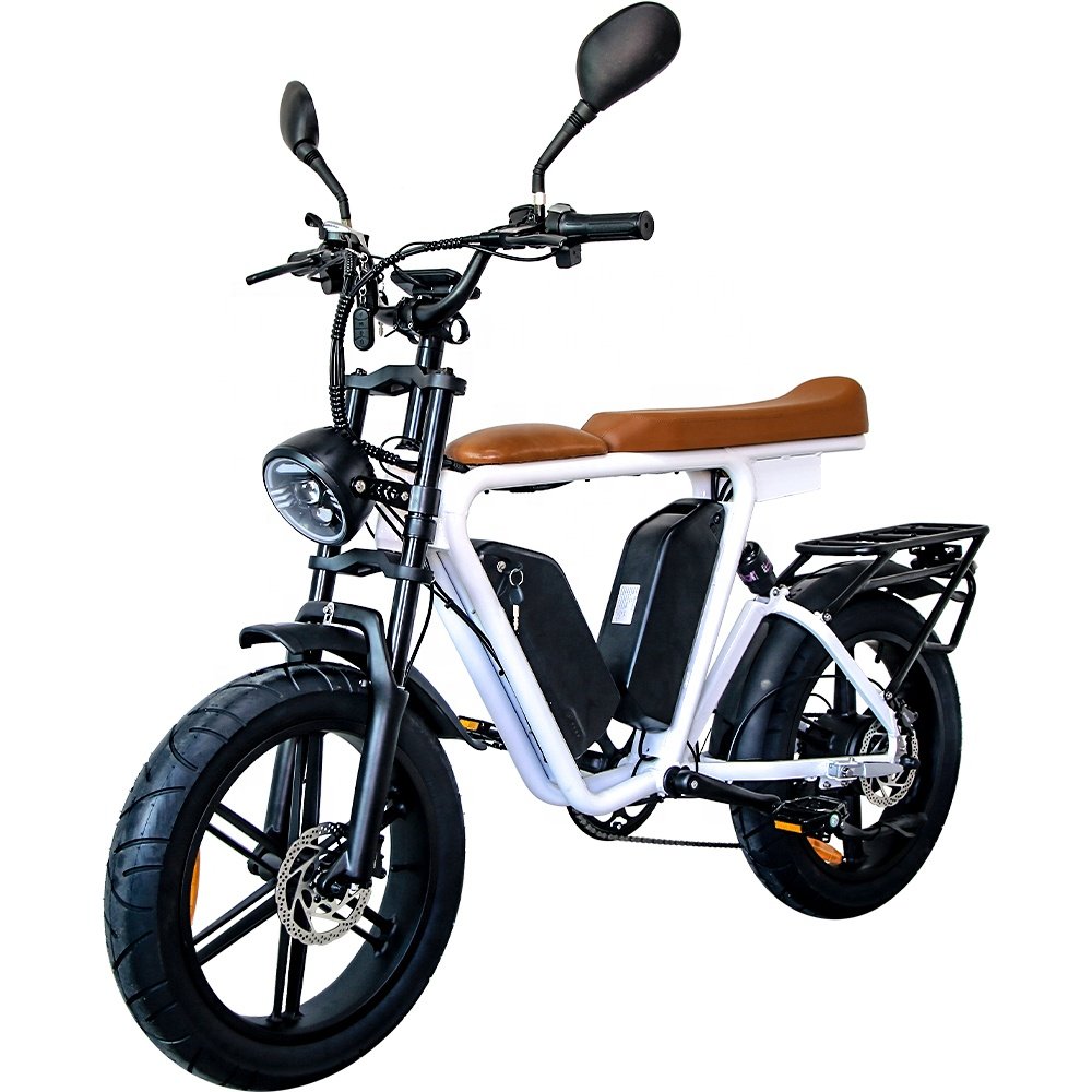 20 Wheel Size Electric Mountain bicycle 48v Electric Road Bike 1000w motor Lithium Battery Electric City Bike for adult