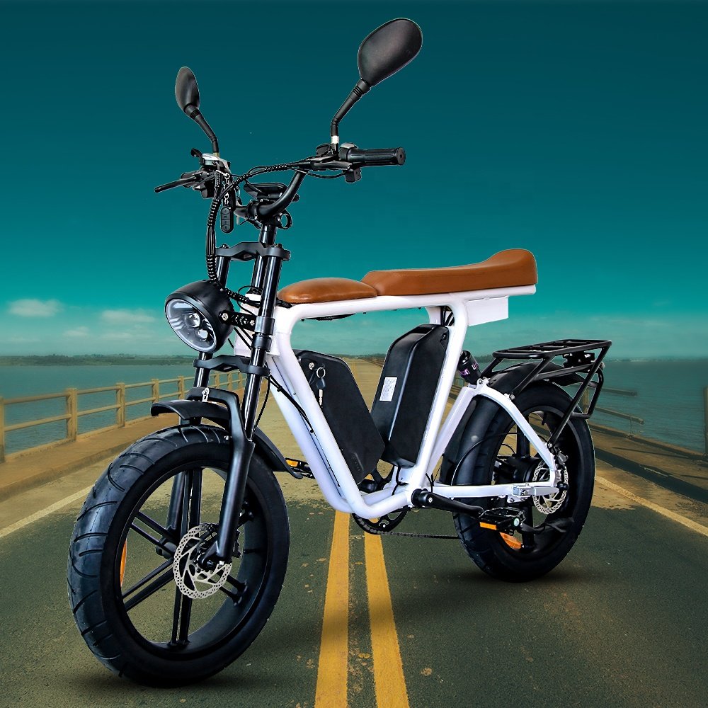 20 Wheel Size Electric Mountain bicycle 48v Electric Road Bike 1000w motor Lithium Battery Electric City Bike for adult