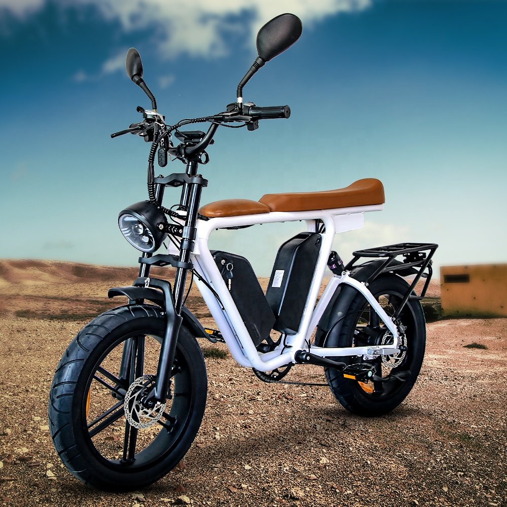 20 Wheel Size Electric Mountain bicycle 48v Electric Road Bike 1000w motor Lithium Battery Electric City Bike for adult