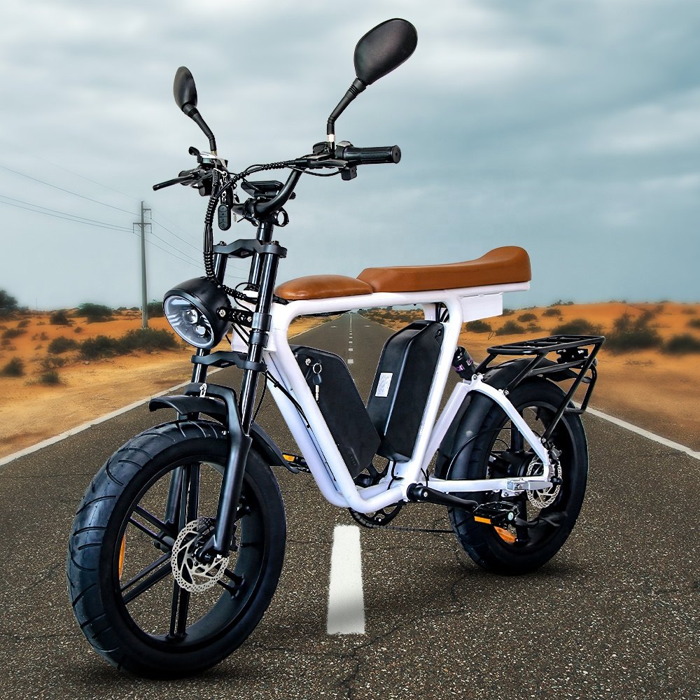 20 Wheel Size Electric Mountain bicycle 48v Electric Road Bike 1000w motor Lithium Battery Electric City Bike for adult