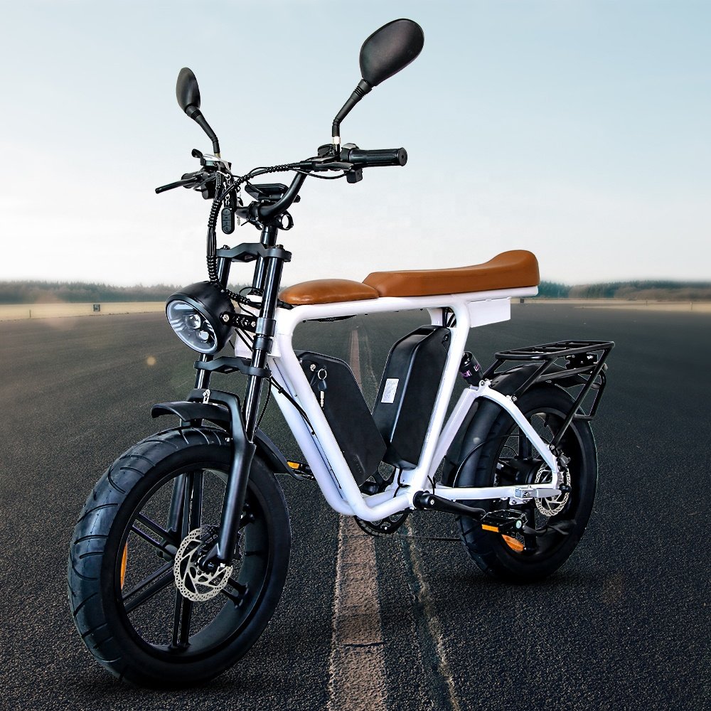 20 Wheel Size Electric Mountain bicycle 48v Electric Road Bike 1000w motor Lithium Battery Electric City Bike for adult