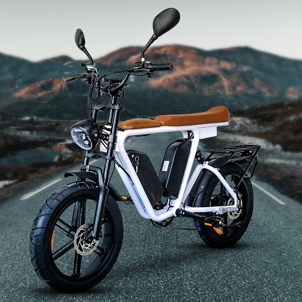 20 Wheel Size Electric Mountain bicycle 48v Electric Road Bike 1000w motor Lithium Battery Electric City Bike for adult