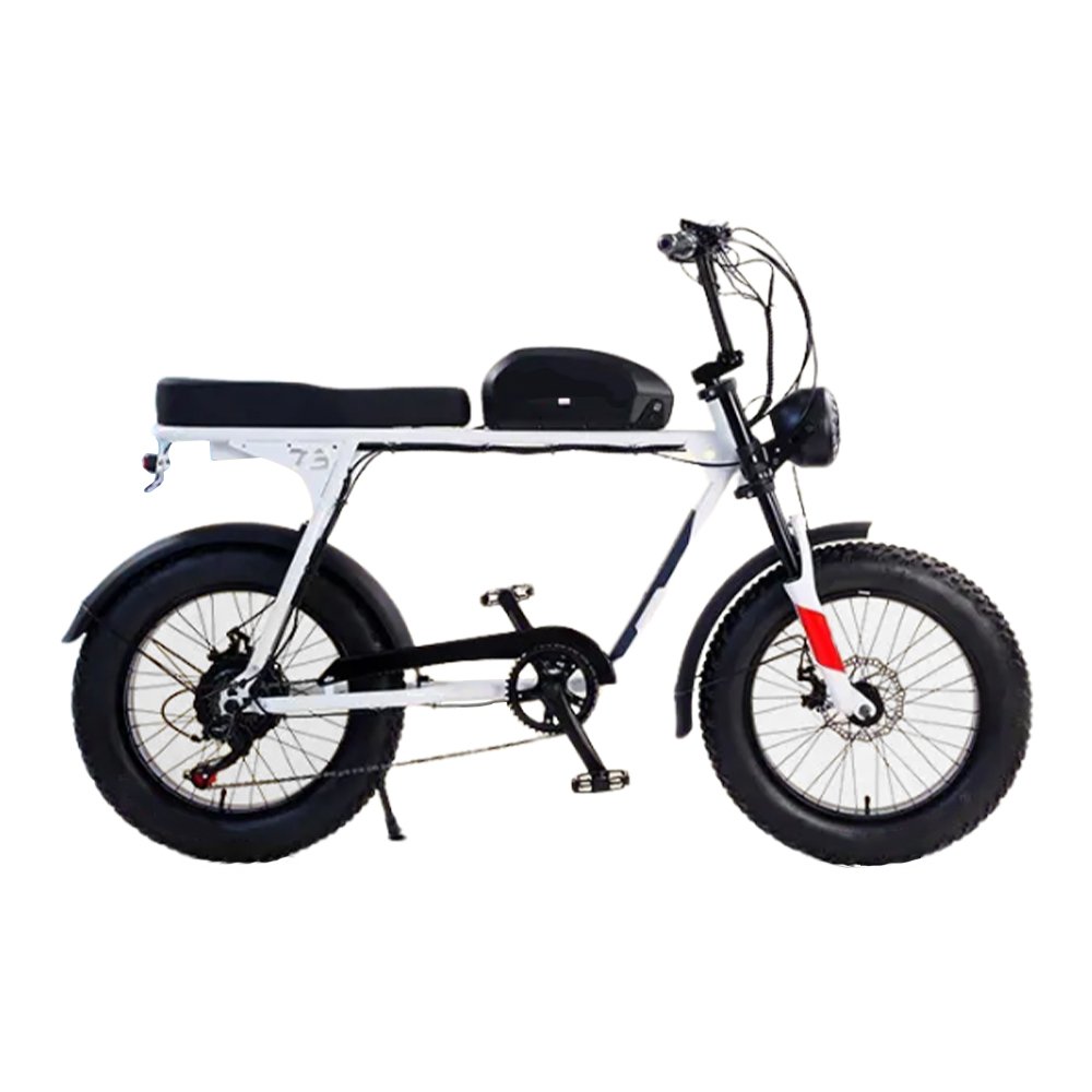 New arrival super 1000w 48V 73 lithium battery Hydraulic Disc Brake retro fat tire ebike electric mountain bike